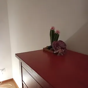 Dreamhouse Appartamento Roma